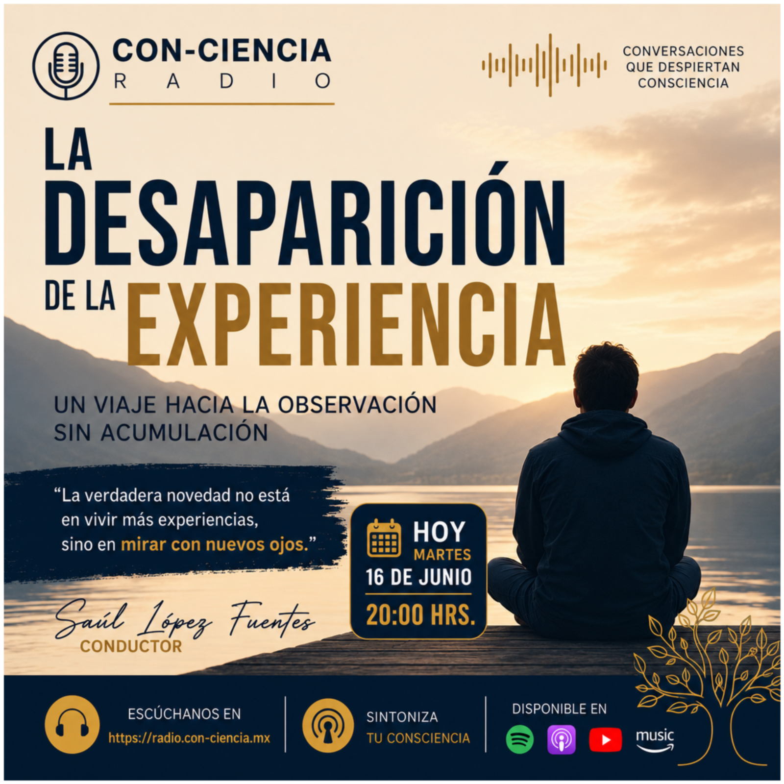 Programa Introspección-Saúl López-La desaparición de la experiencia episode artwork