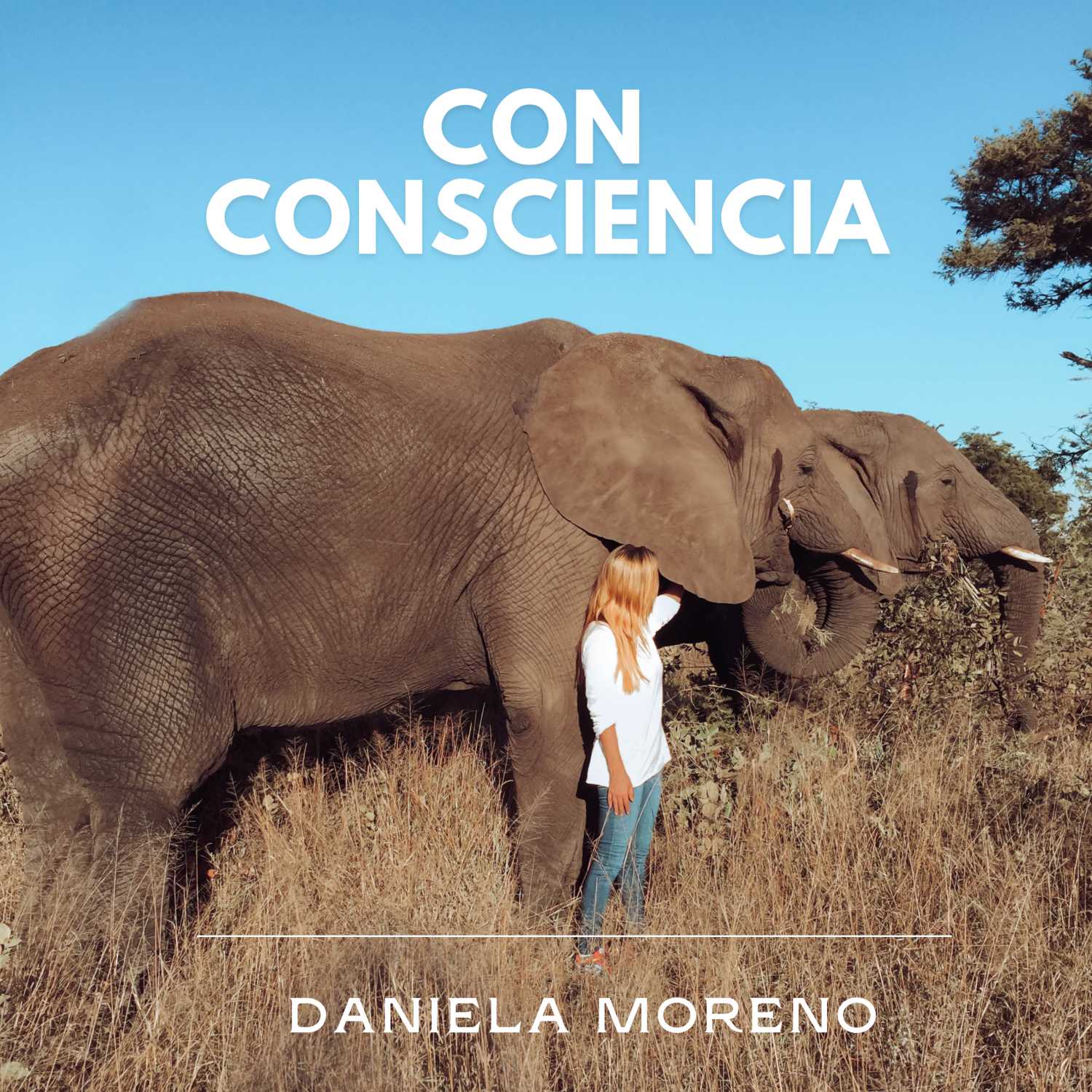 Con Consciencia