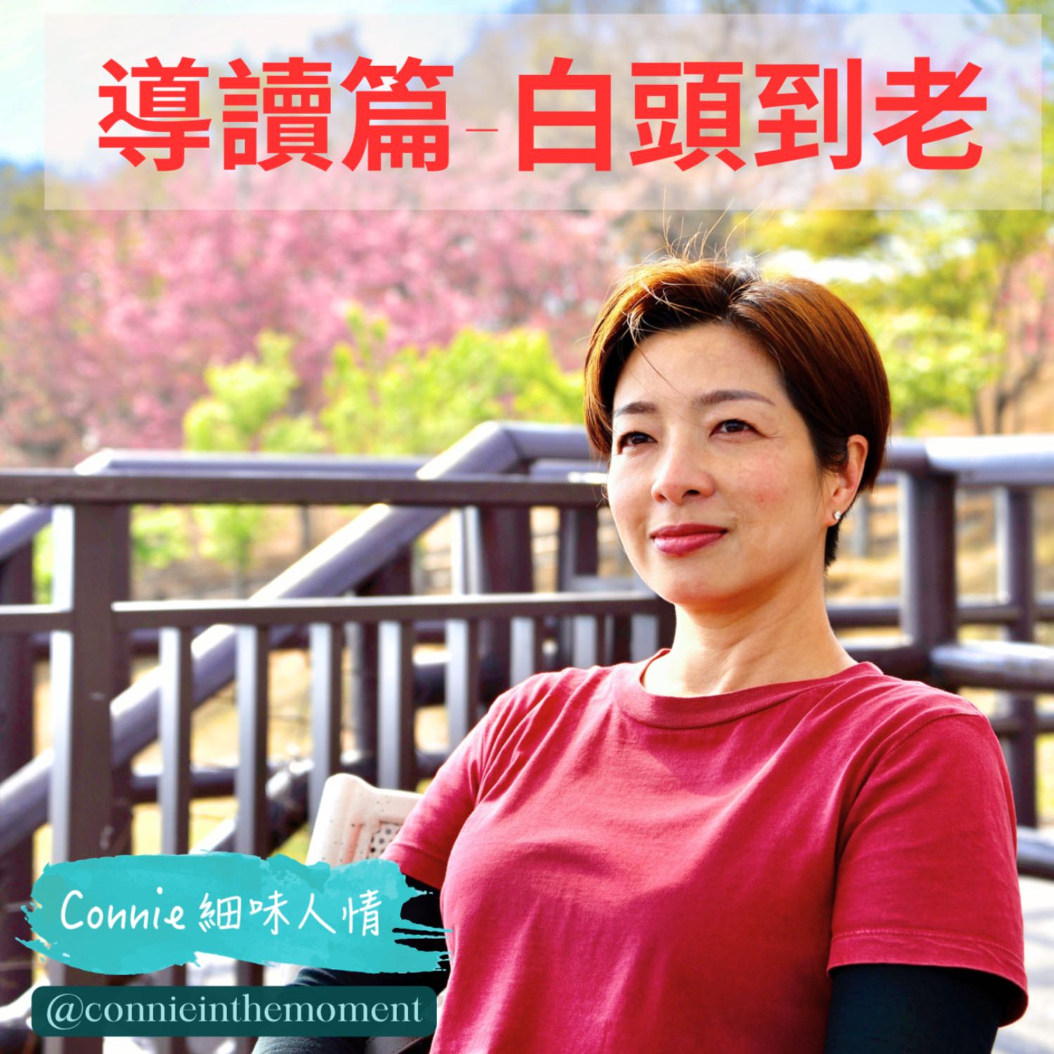 Connie 細味人情