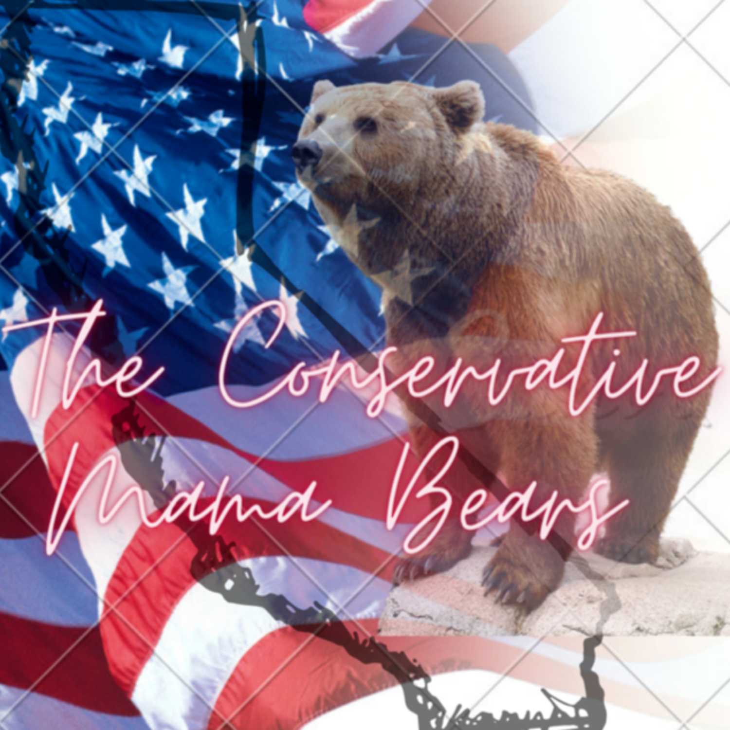 The Conservative Mama Bears cover art