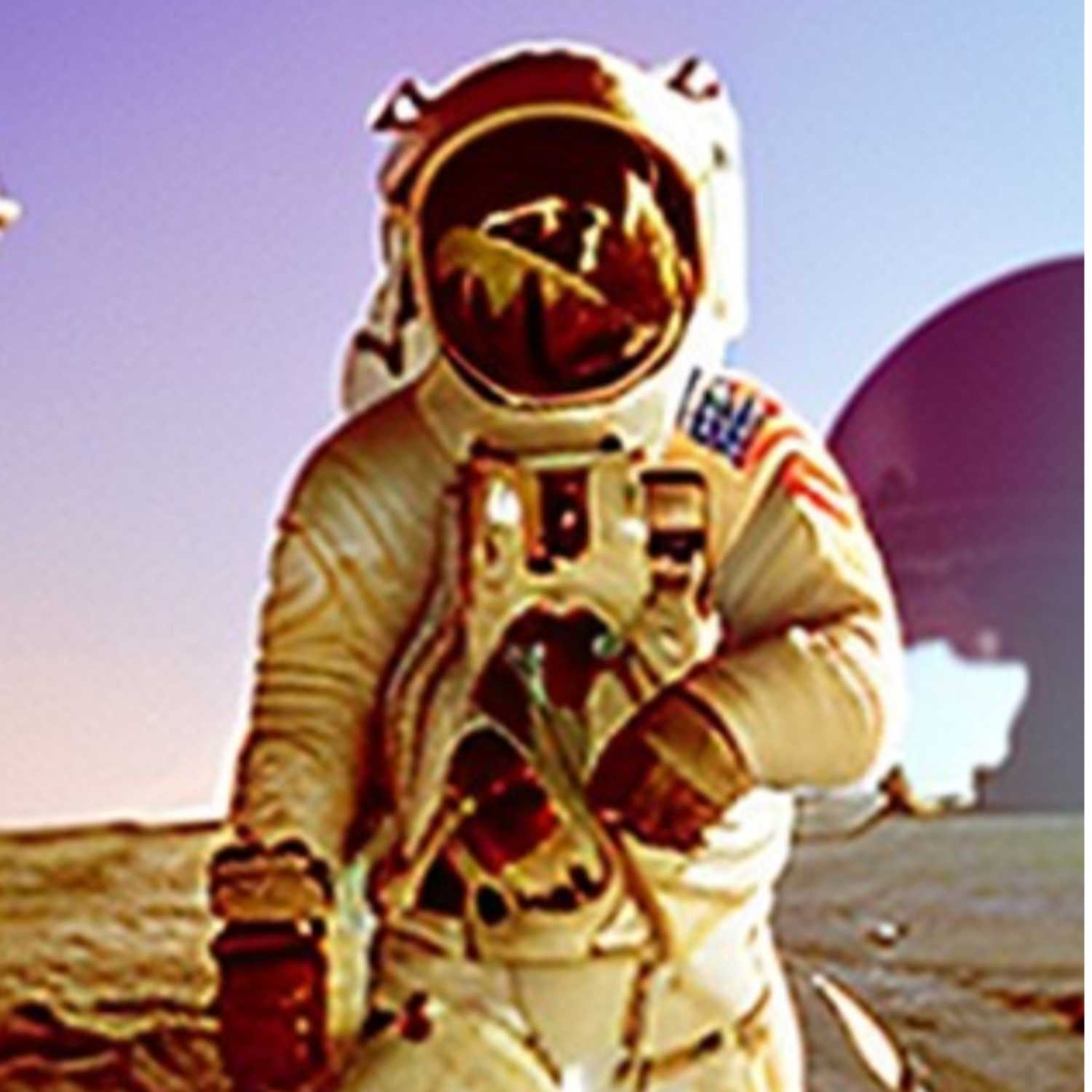 fake moon landing episode artwork