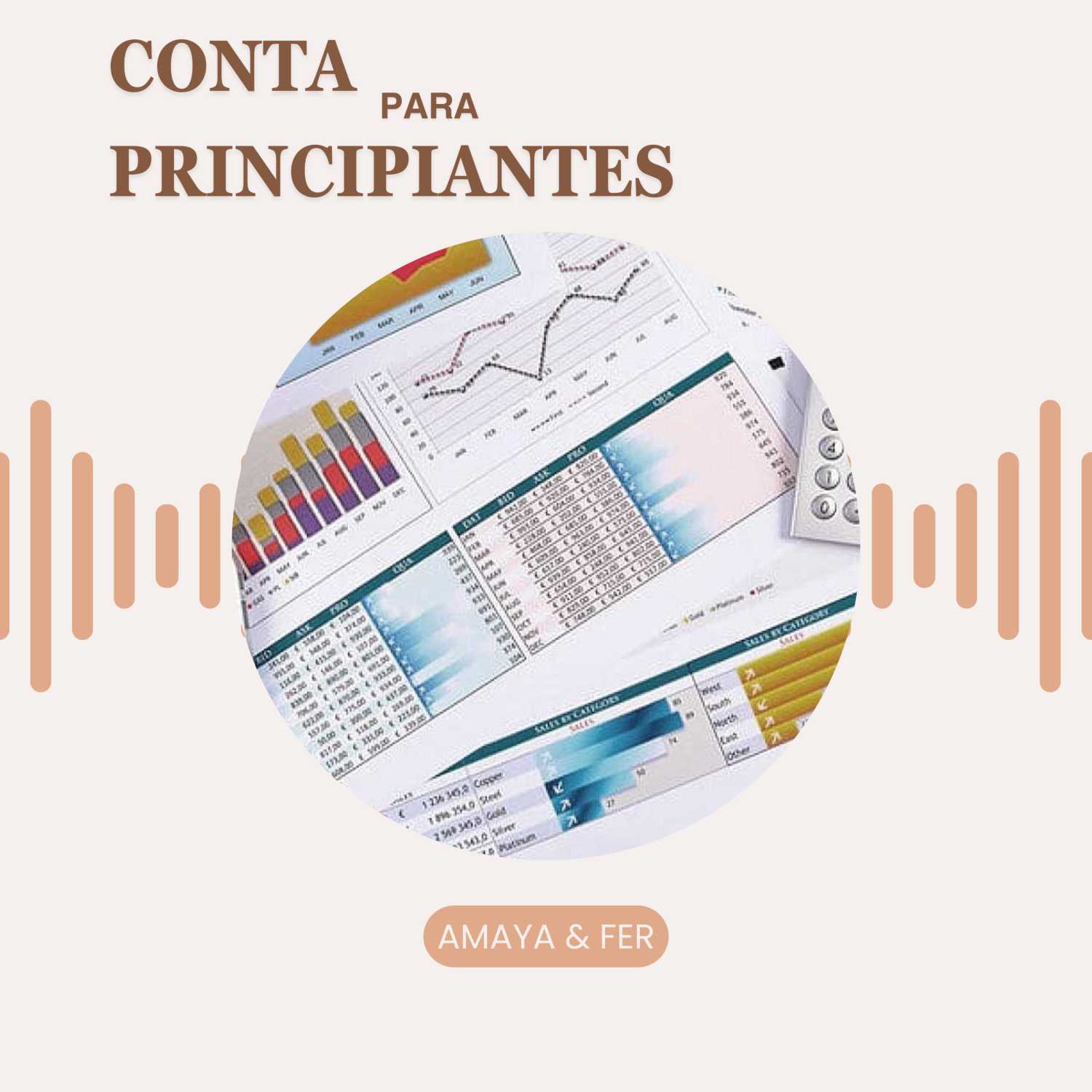 Conta para principiantes.