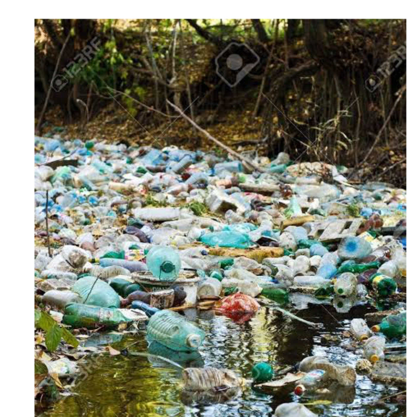 Contaminación del agua