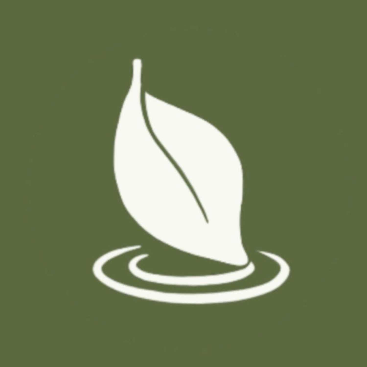 1 Corinthians 6 - “Honoring God with Our Bodies” - Part 1 1 Corinthians 6 - “Honoring God with Our Bodies” - Part 1