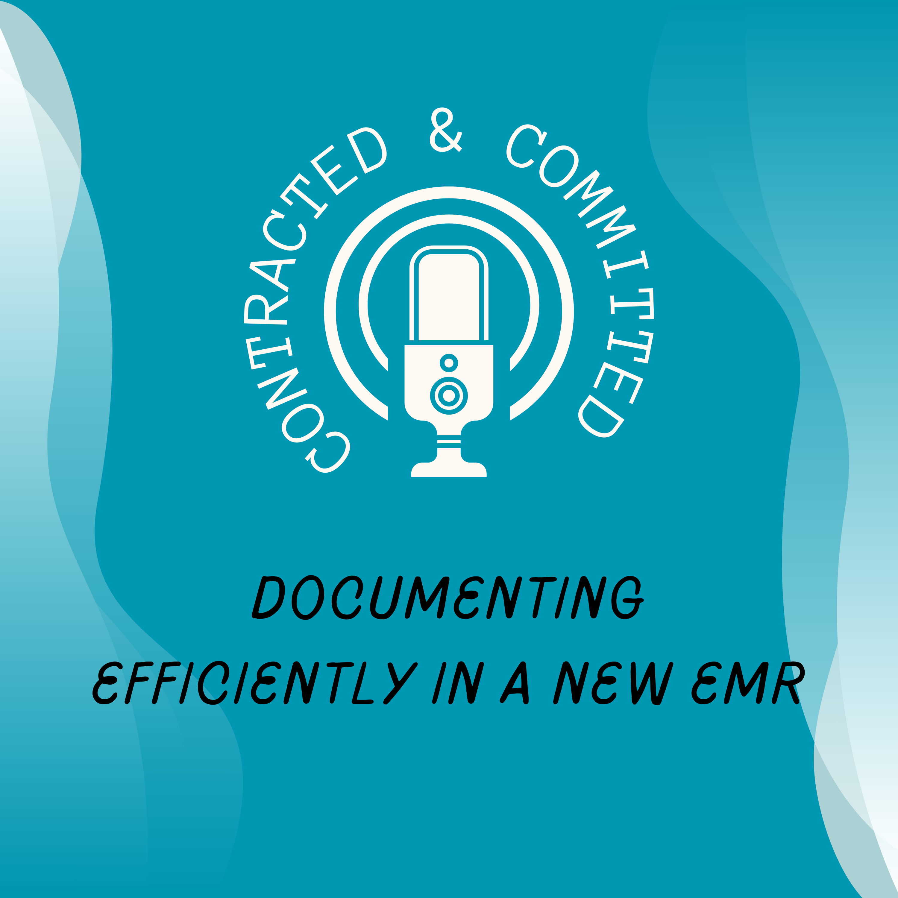 Mini 6: Documenting Efficiently in a New EMR