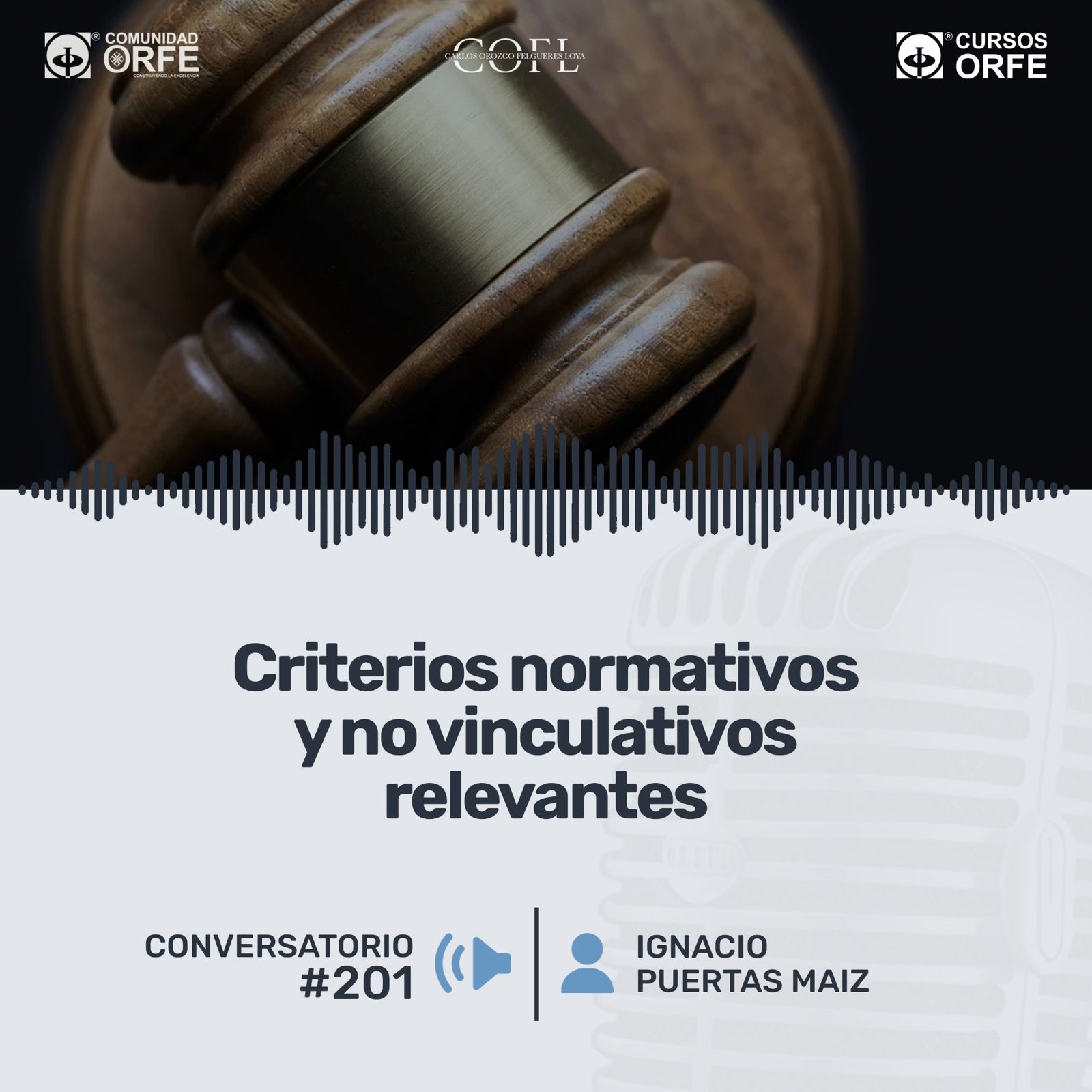 Criterios normativos y no vinculativos relevantes