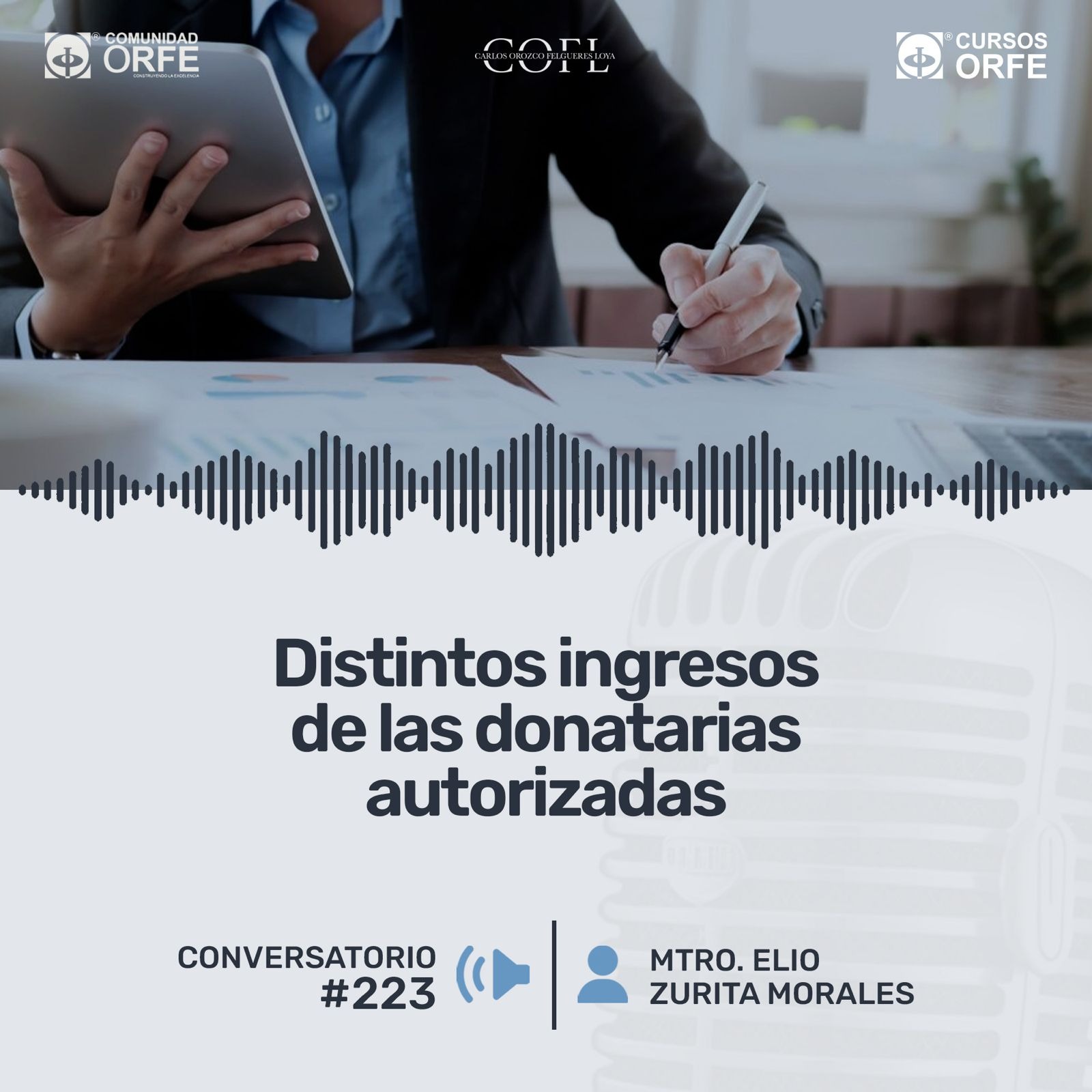 Distintos ingresos de las donatarias autorizadas