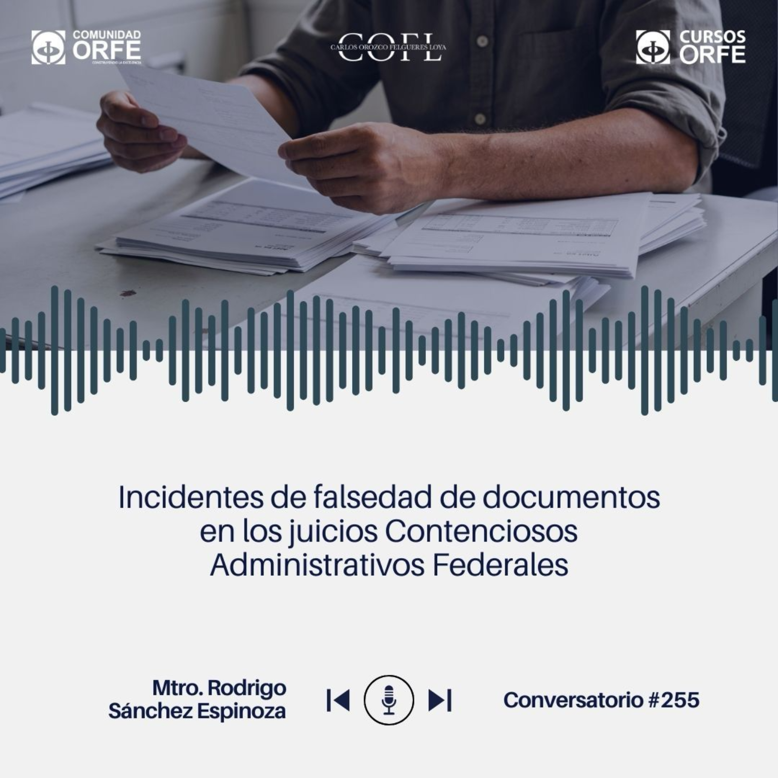Incidentes de falsedad de documentos en los juicios Contenciosos Administrativos Federales