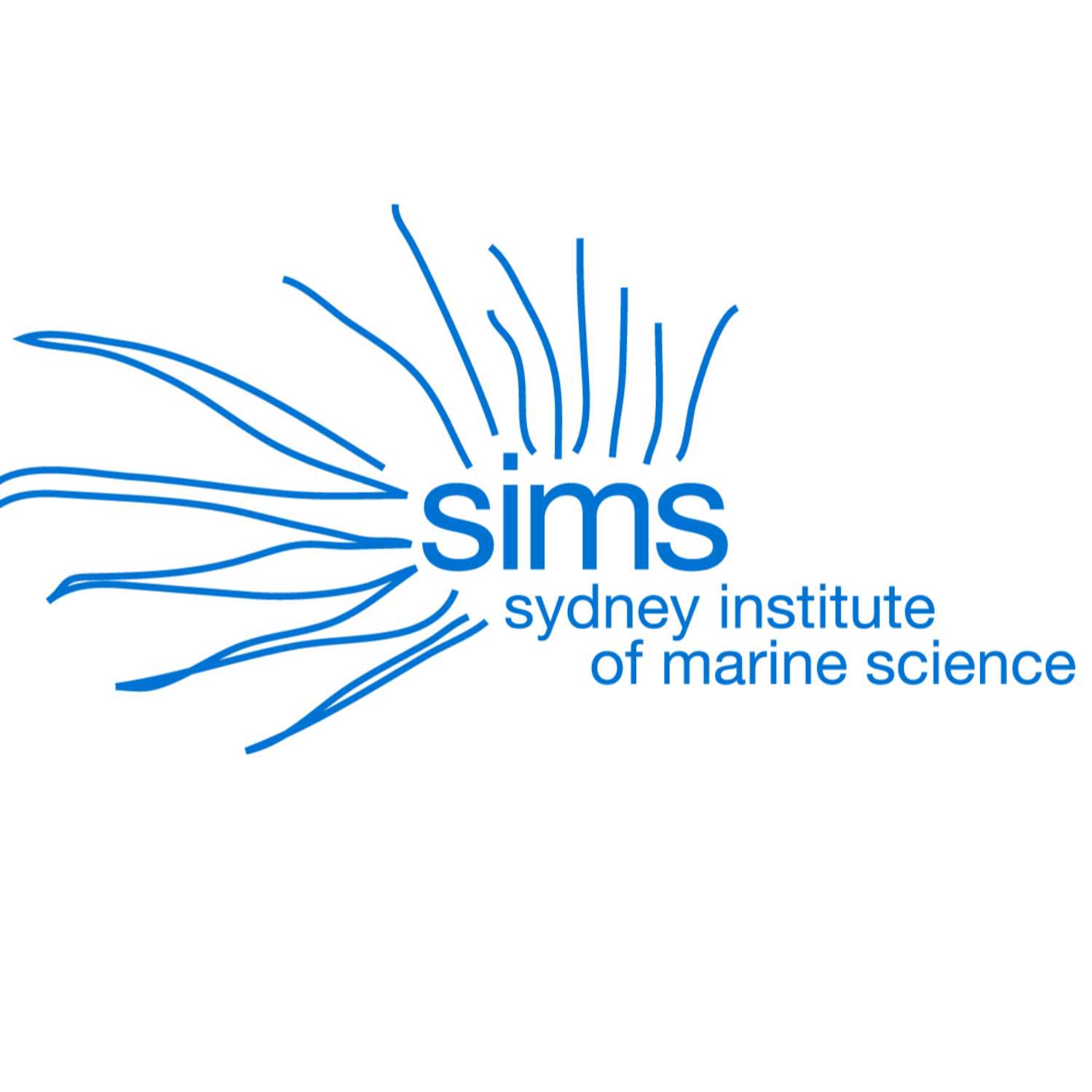 Conversation Currents with SIMS cover art