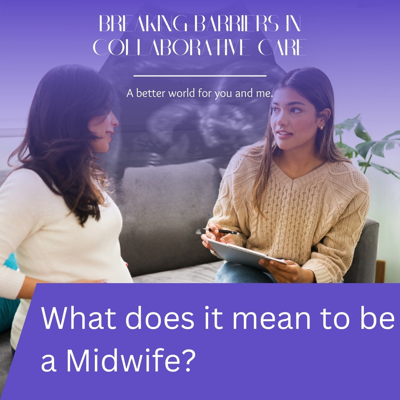102: What Does It Mean To Be A Midwife? | EP #2 episode artwork