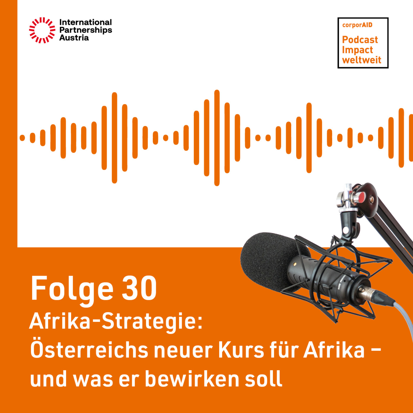 Folge 30: Afrika-Strategie: Österreichs neuer Kurs für Afrika – und was er bewirken soll