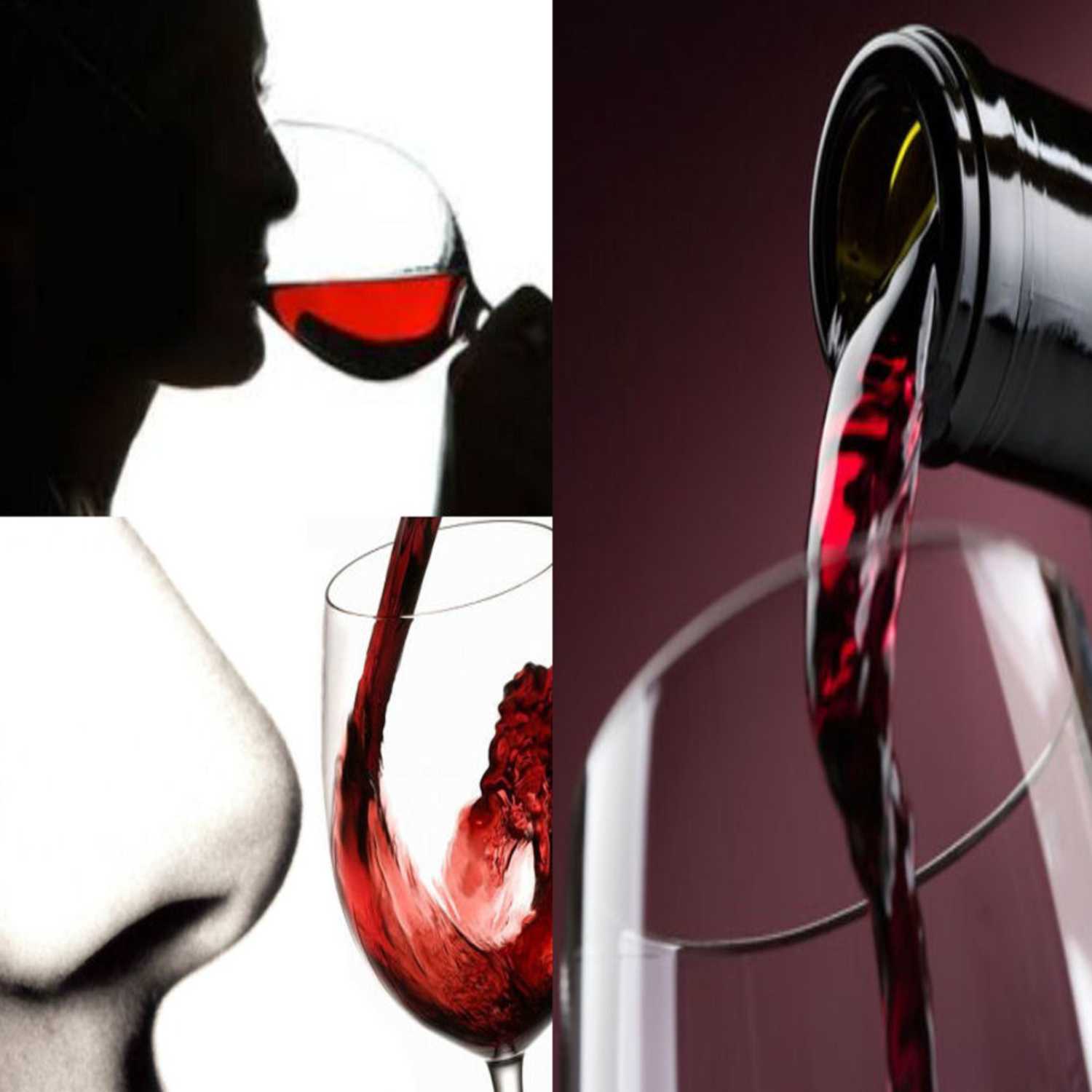 Corso per Sommelier dell'A.I.S. (Associazione Italiana Sommelier)