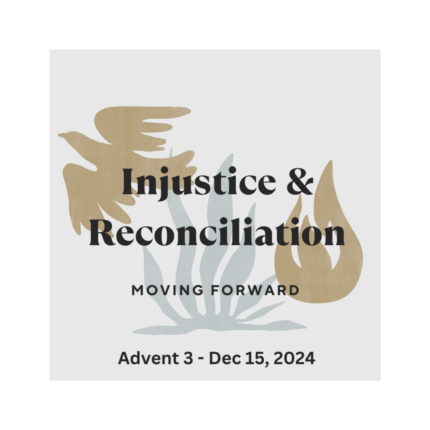 Injustice & Reconciliation