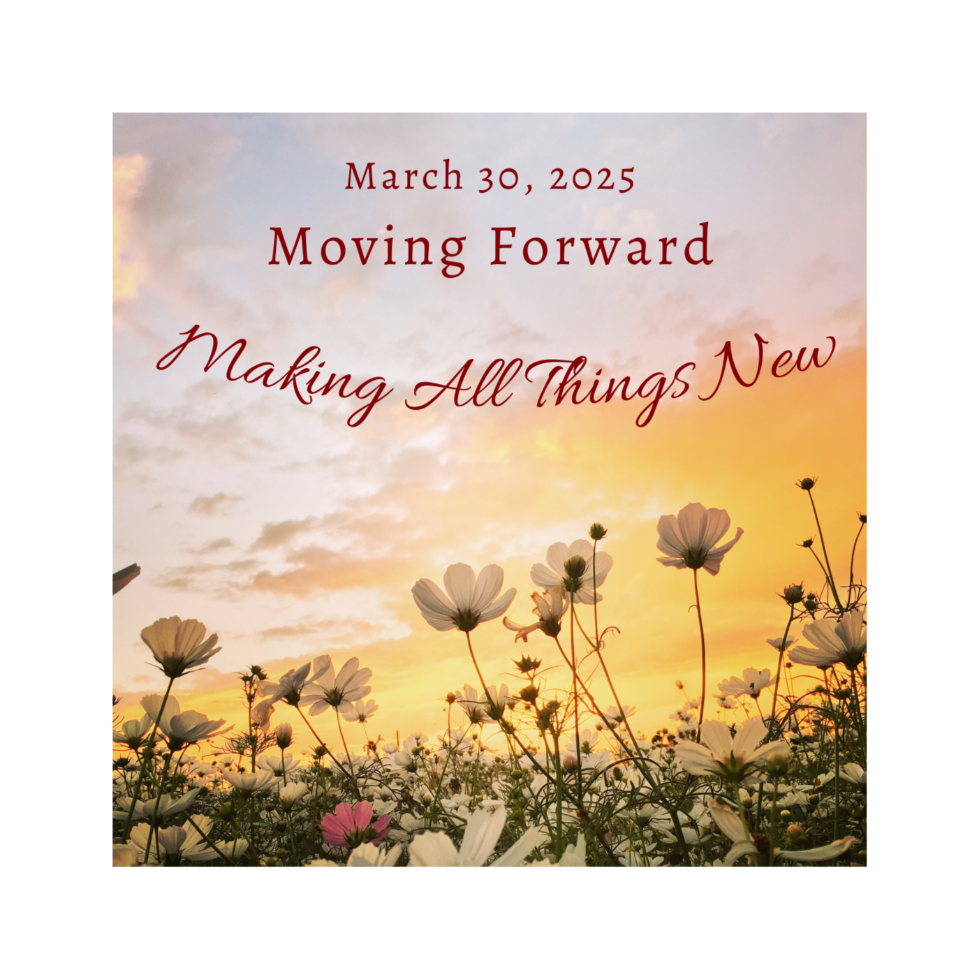 Making All Things News