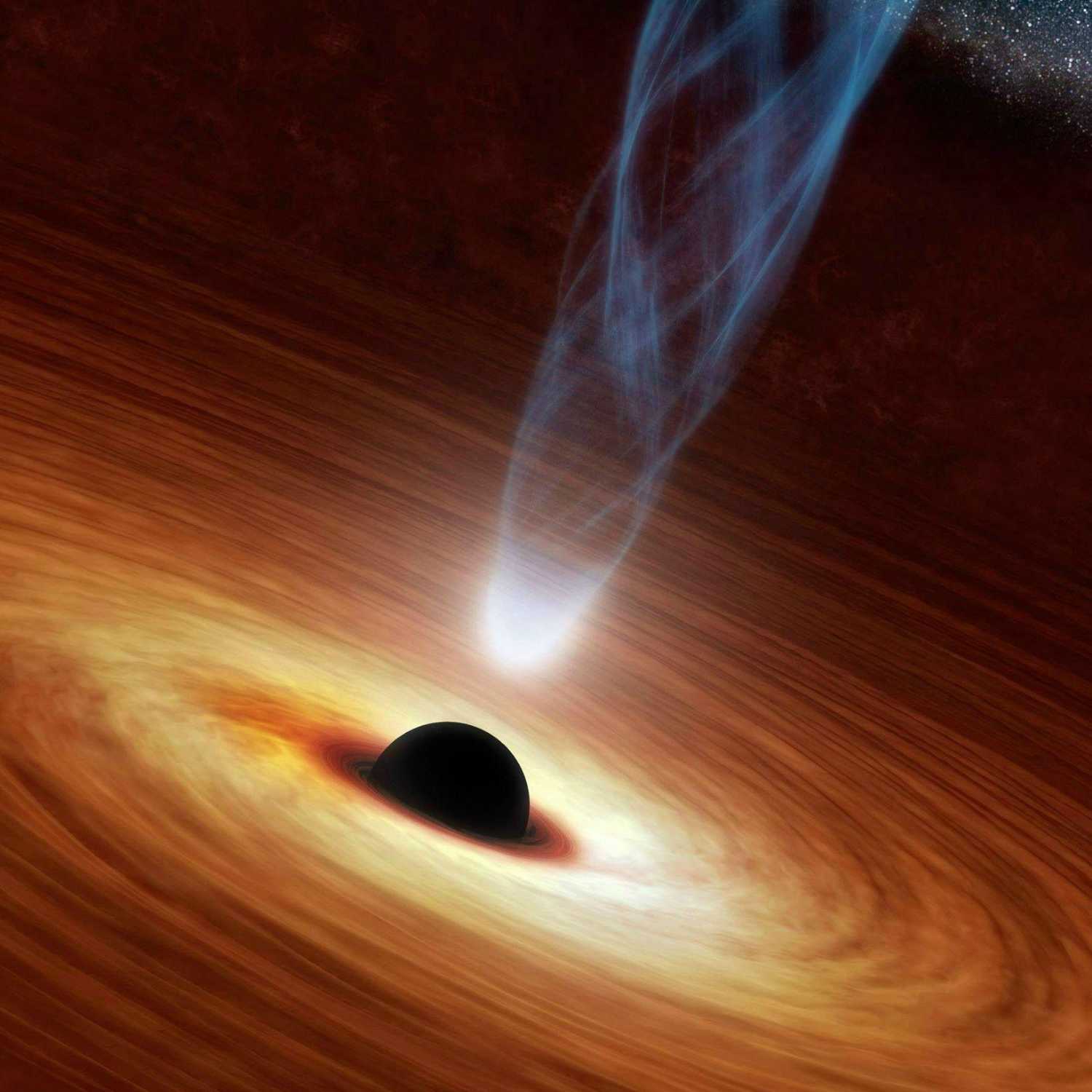 Black Holes