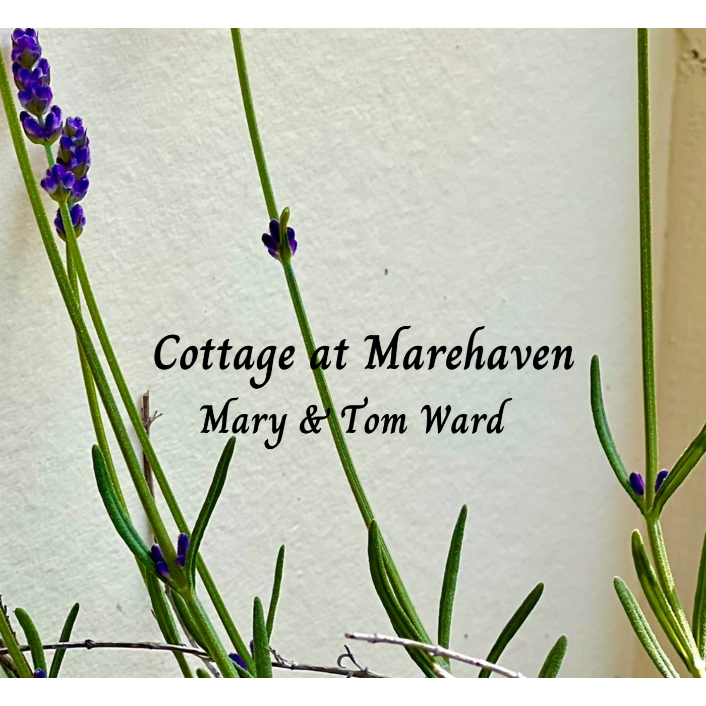 Cottage at Marehaven 