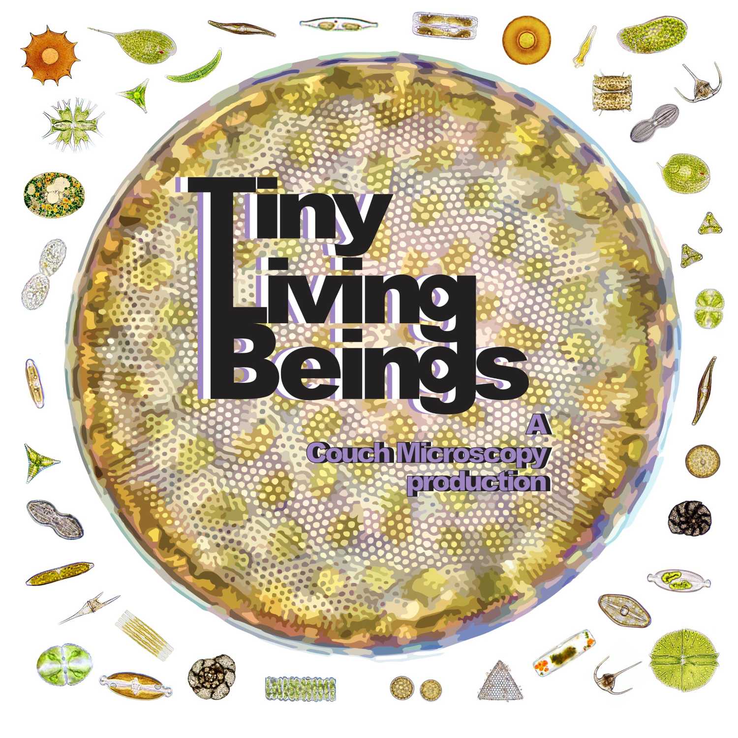 The microbes transforming our food system - with David Zilber