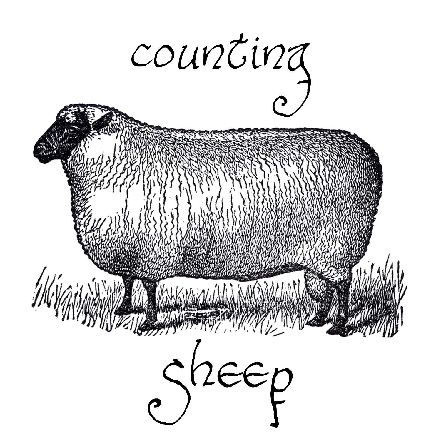 Counting Sheep