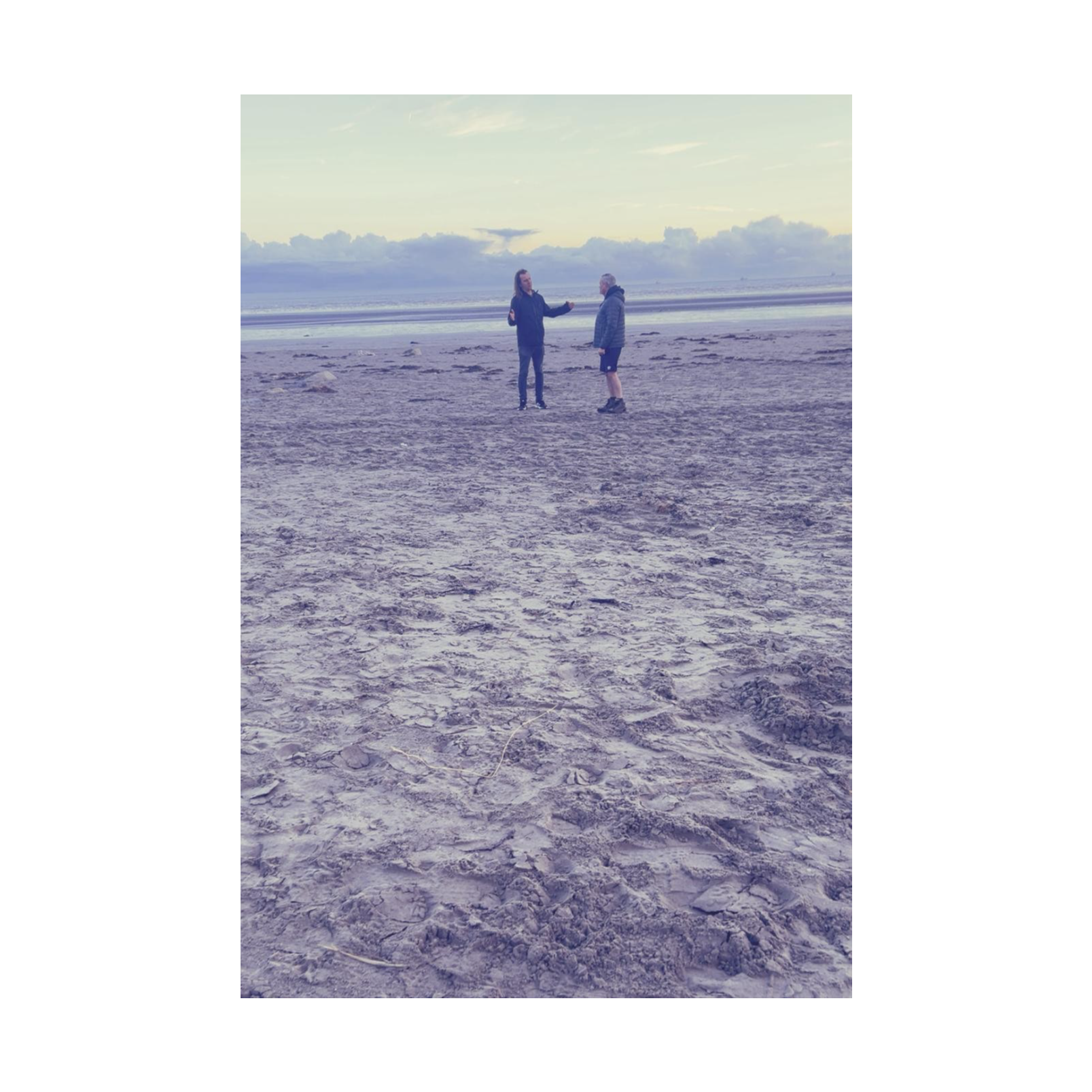 Bull Island episode artwork