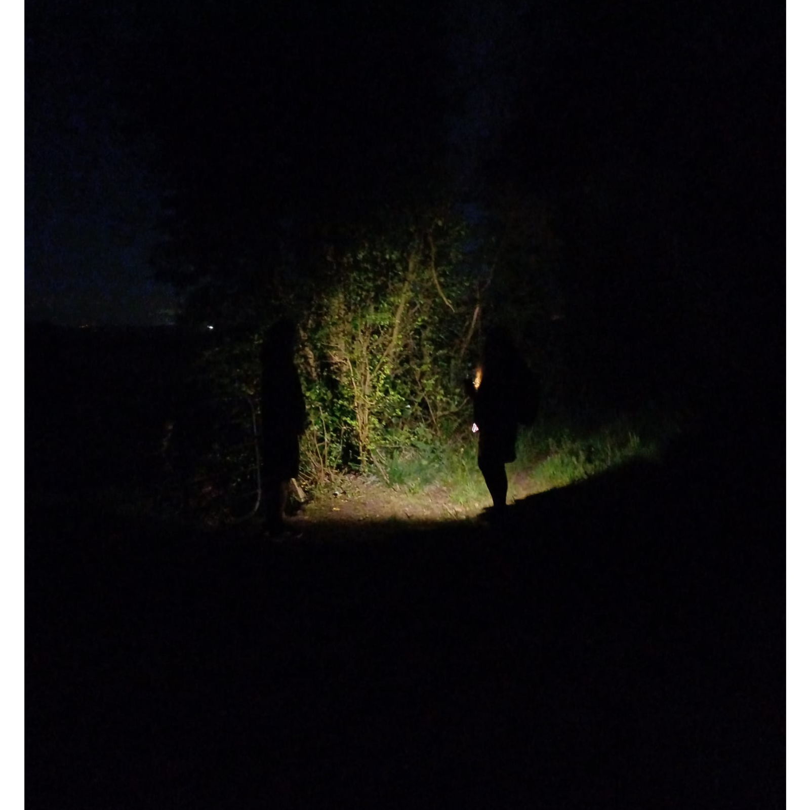 Cavan Night Walks Podcast Extra episode artwork