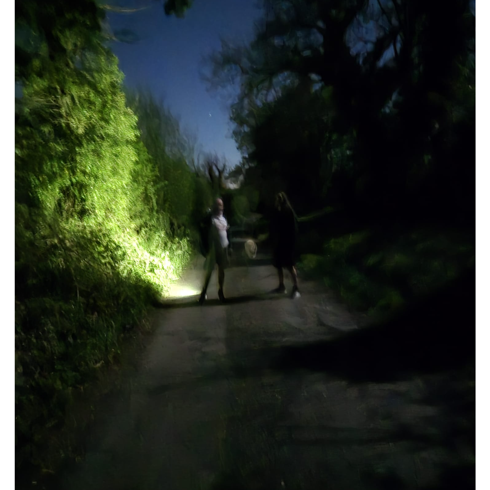 Cavan Night Walks episode artwork