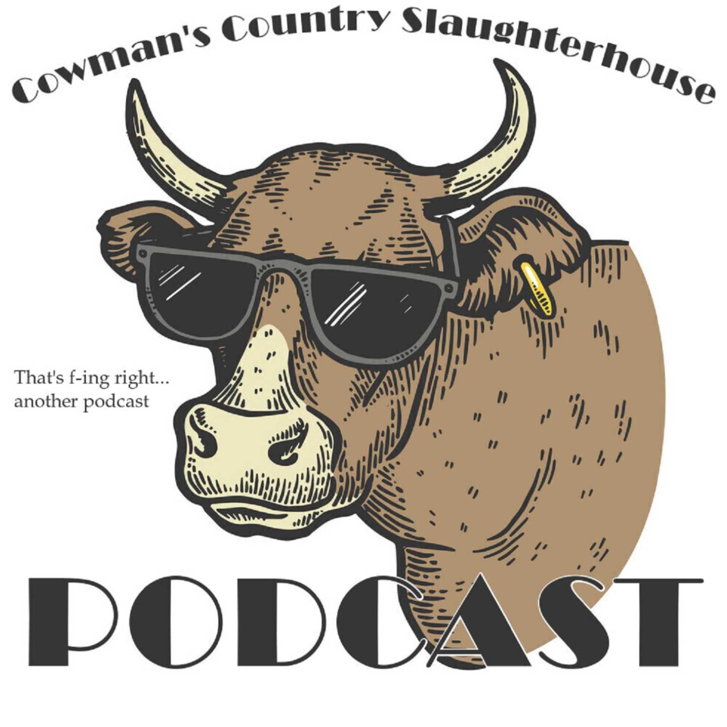 Podcast Image