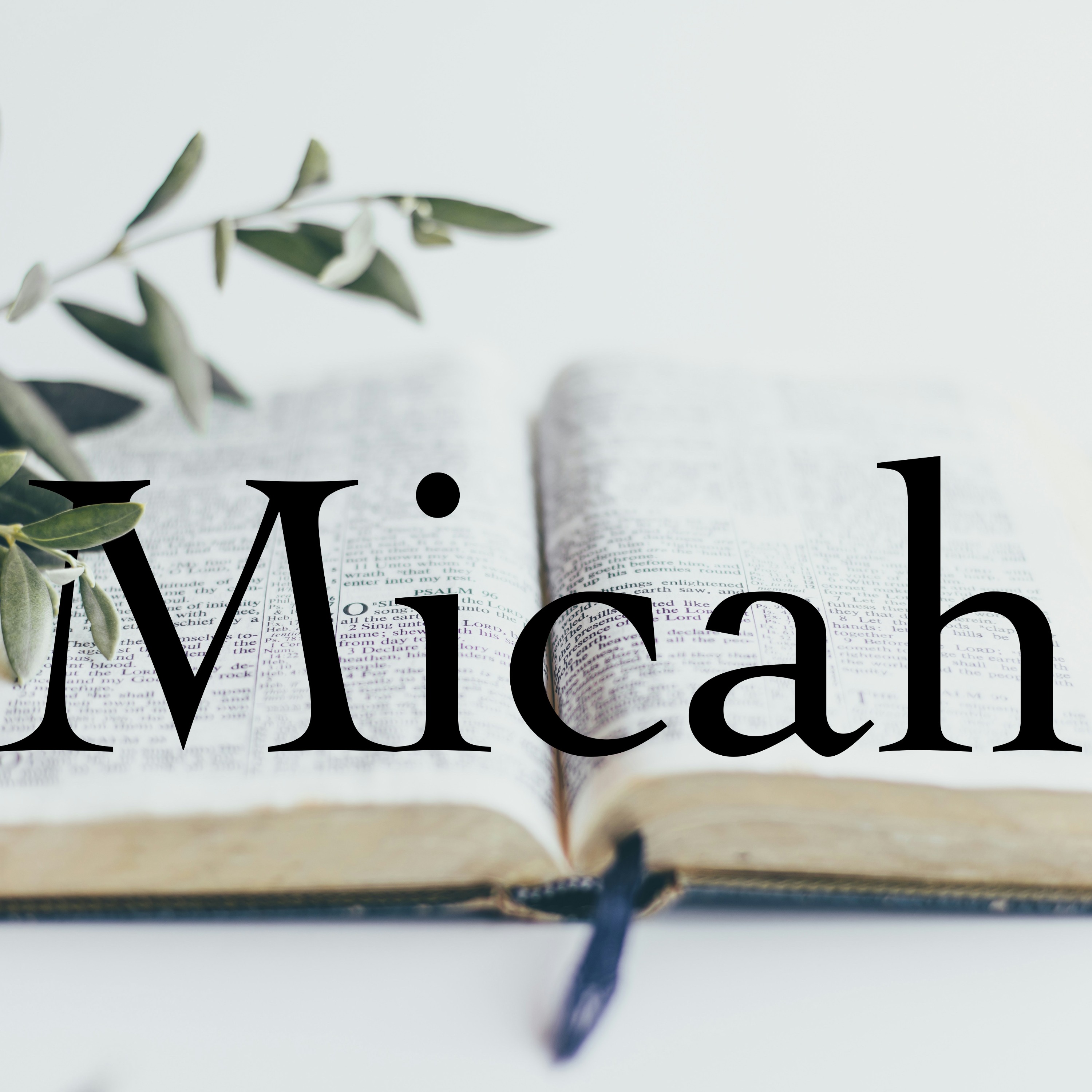 Micah 7:1-10 | Pastor Jeff Evans episode artwork
