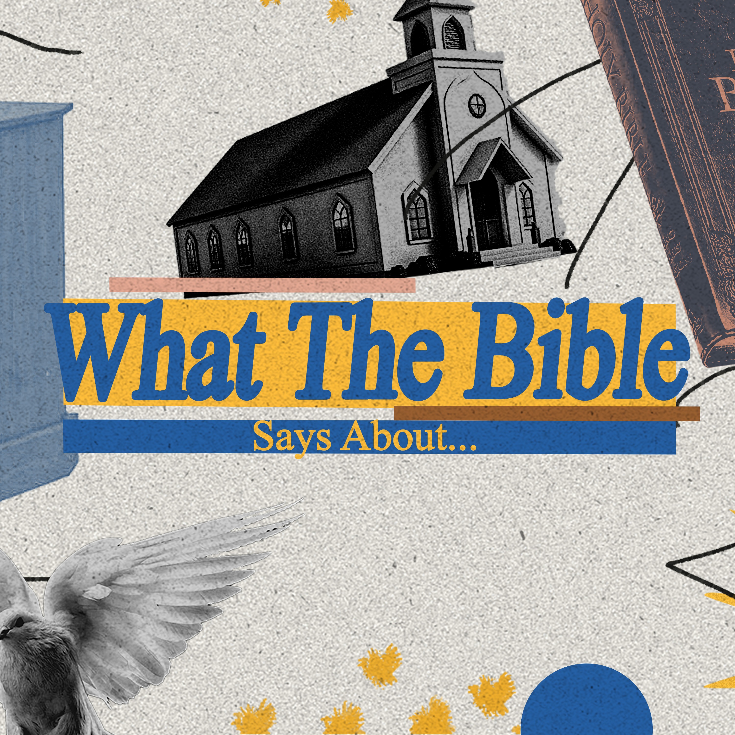 What the Bible Says About... dinosaurs, dancing, re-baptism and much more