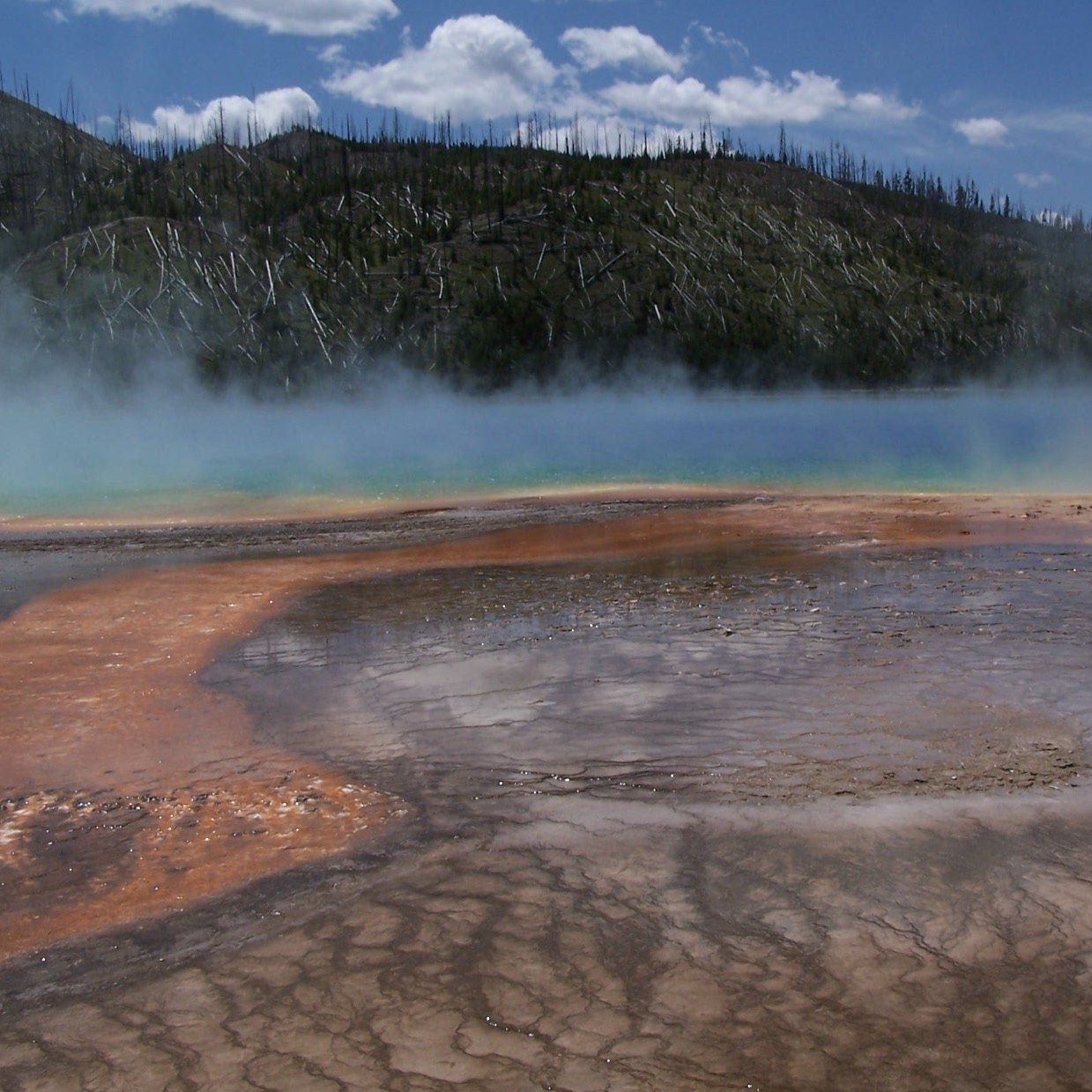 The Creative Process · Arts, Culture & Society: Books, Film, Music, TV, Art, Writing, Creativity, Education, Environment, Theatre, Dance, LGBTQ, Climate Change, Social Justice, Spirituality, Feminism, Tech, Sustainability