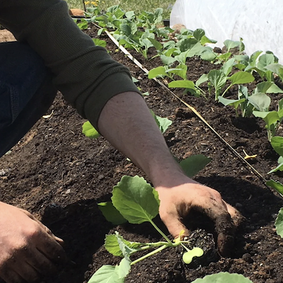 Creating Community & Connection through Family-run Farms - JOHN BEATON - Highlights