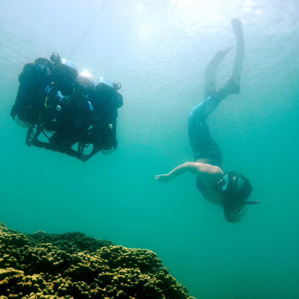 Mapping Our Blue Planet with Nat Geo Explorer ANTONELLA WILBY