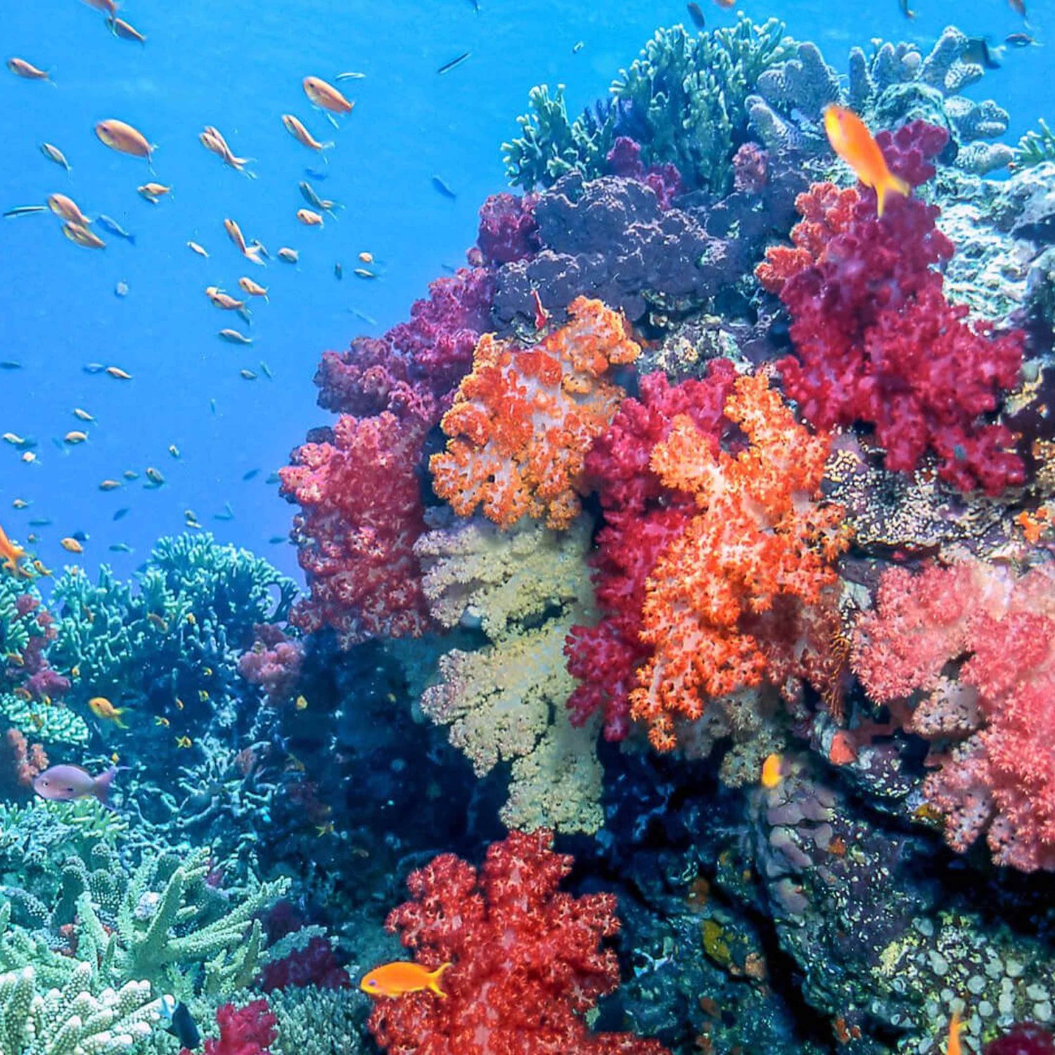 The Creative Process · Arts, Culture & Society: Books, Film, Music, TV, Art, Writing, Creativity, Education, Environment, Theatre, Dance, LGBTQ, Climate Change, Social Justice, Spirituality, Feminism, Tech, Sustainability