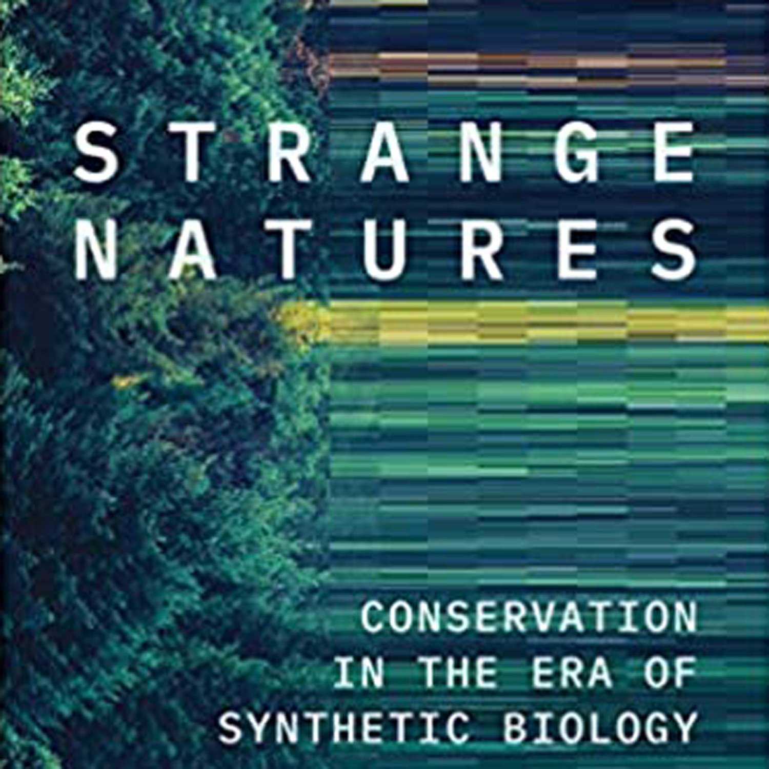 The Creative Process · Arts, Culture & Society: Books, Film, Music, TV, Art, Writing, Creativity, Education, Environment, Theatre, Dance, LGBTQ, Climate Change, Social Justice, Spirituality, Feminism, Tech, Sustainability