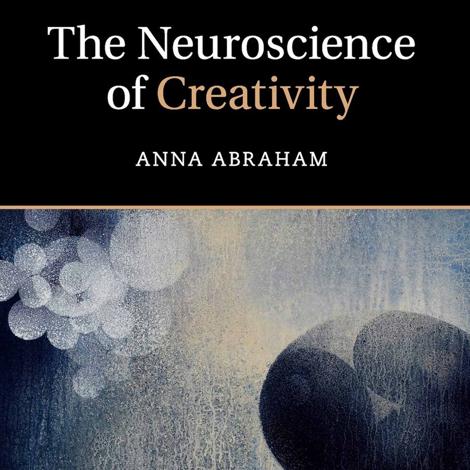 The Neuroscience of Creativity with ANNA ABRAHAM - Highlights