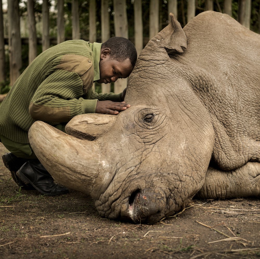 From Conflict Zones to Wildlife Conservation: AMI VITALE - Nat Geo Photographer & Filmmaker - Highlights