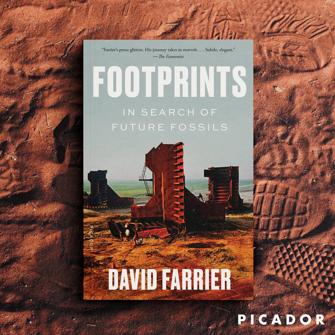 Footprints: In Search of Future Fossils with DAVID FARRIER - Highlights