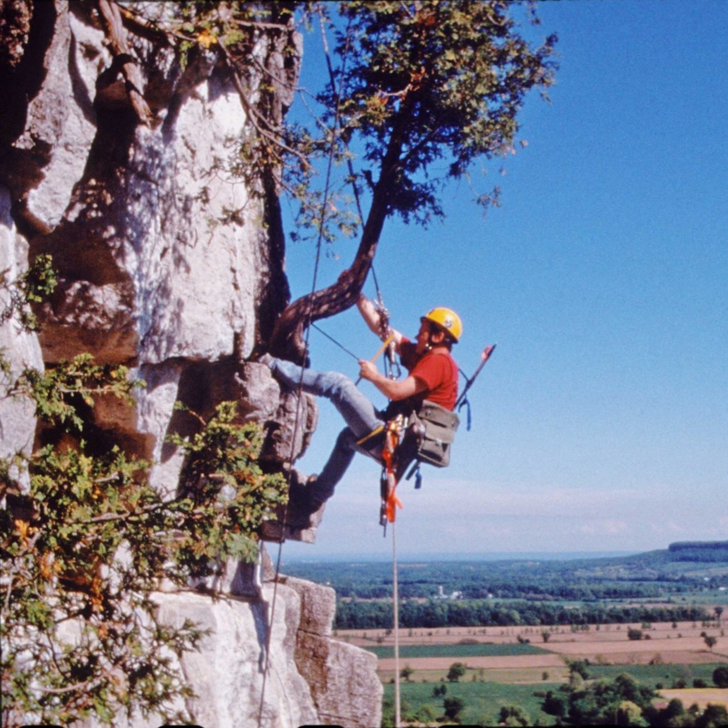 DOUG LARSON - Biologist - Expert on Deforestation - Author of Cliff Ecology - The The Dogma Ate My Homework