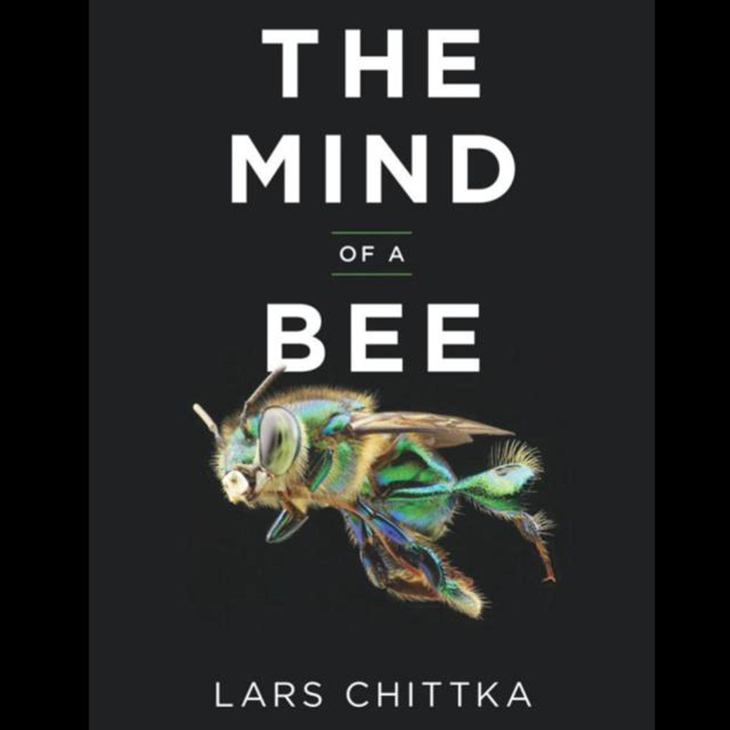 The Mind of a Bee with LARS CHITTKA - Unraveling Bee Intelligence & Behavior - Highlights