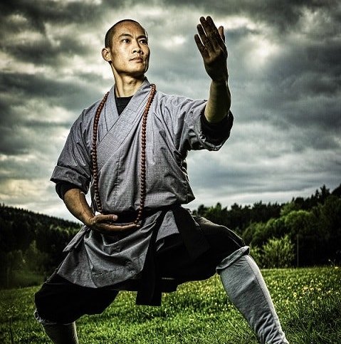 MASTER SHI HENG YI - 35th Generation of Shaolin Masters - Headmaster - Shaolin Temple Europe