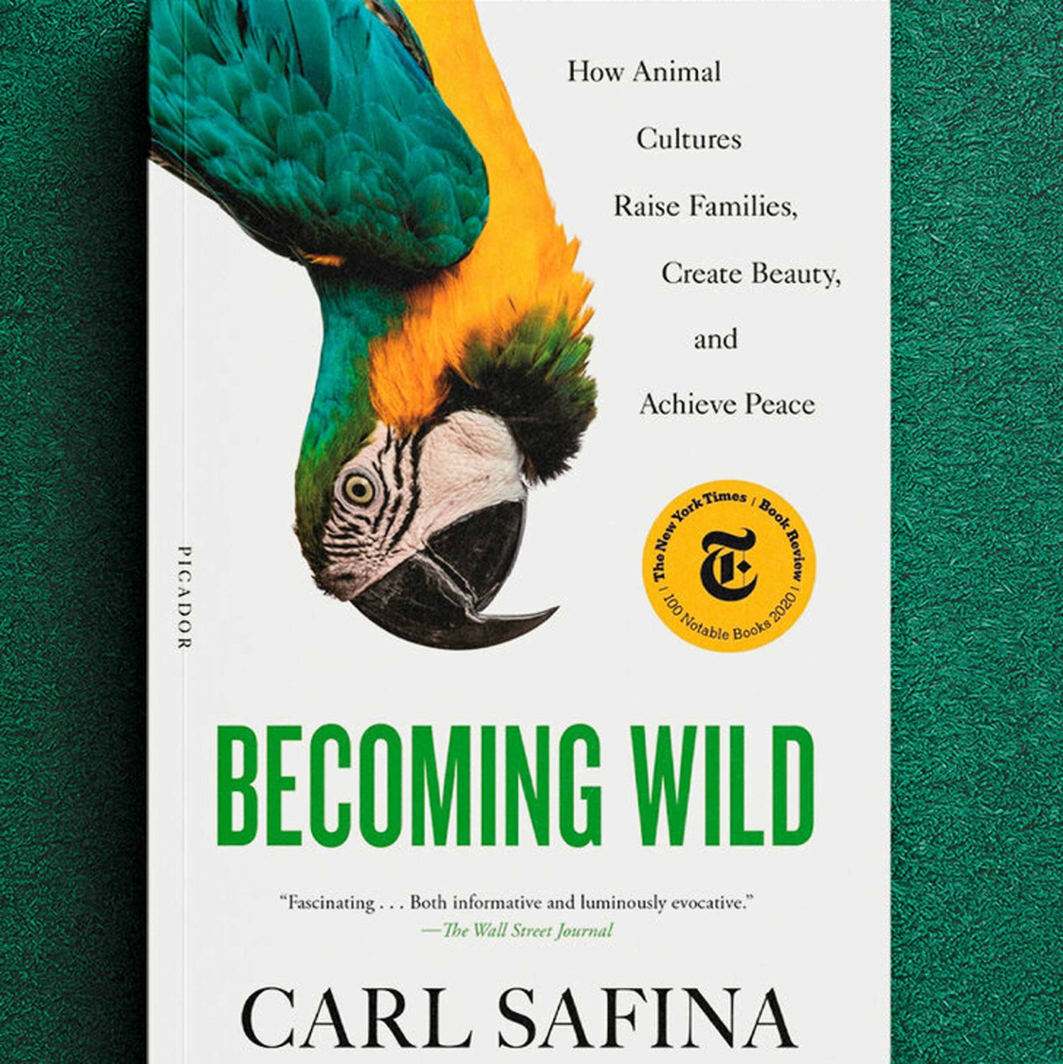 Becoming Wild: How Animal Cultures Raise Families, Create Beauty & Achieve Peace w/ CARL SAFINA - Highlights