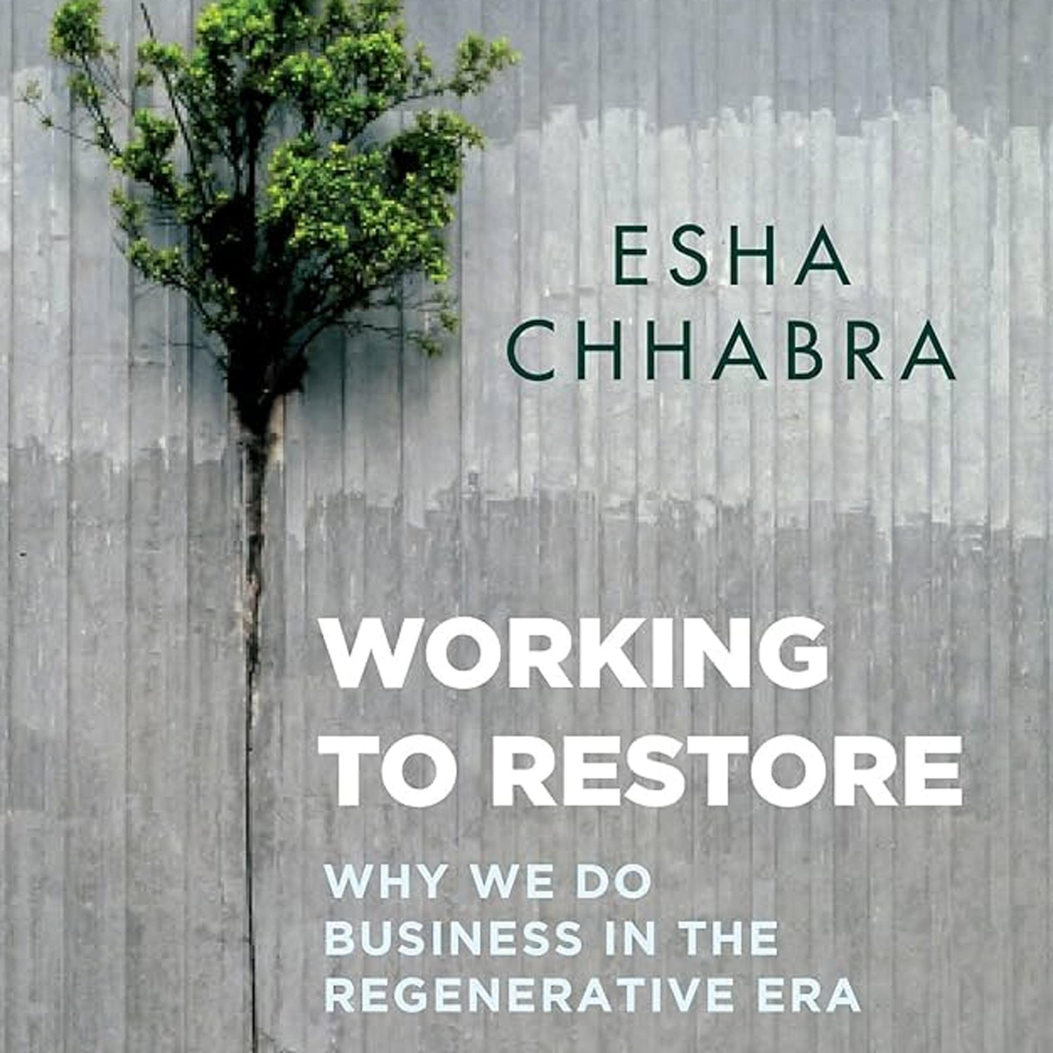The Creative Process · Arts, Culture & Society: Books, Film, Music, TV, Art, Writing, Creativity, Education, Environment, Theatre, Dance, LGBTQ, Climate Change, Social Justice, Spirituality, Feminism, Tech, Sustainability