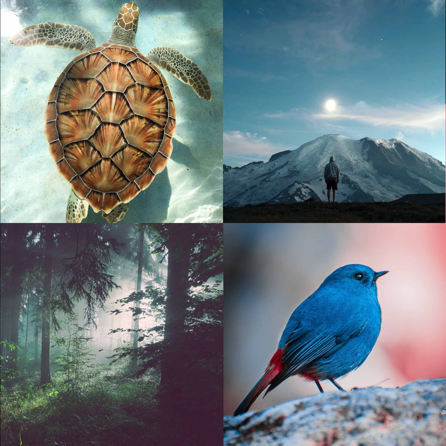 The Creative Process · Arts, Culture & Society: Books, Film, Music, TV, Art, Writing, Creativity, Education, Environment, Theatre, Dance, LGBTQ, Climate Change, Social Justice, Spirituality, Feminism, Tech, Sustainability