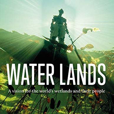 Saving Wetlands, Saving the Planet: JANE MADGWICK on Conservation & Climate Action - Highlights