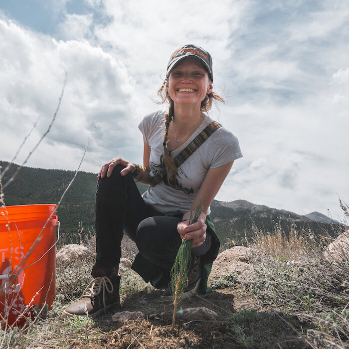 Rethinking Reforestation: How DIANA CHAPLIN Drives Impact at One Tree Planted - Highlights