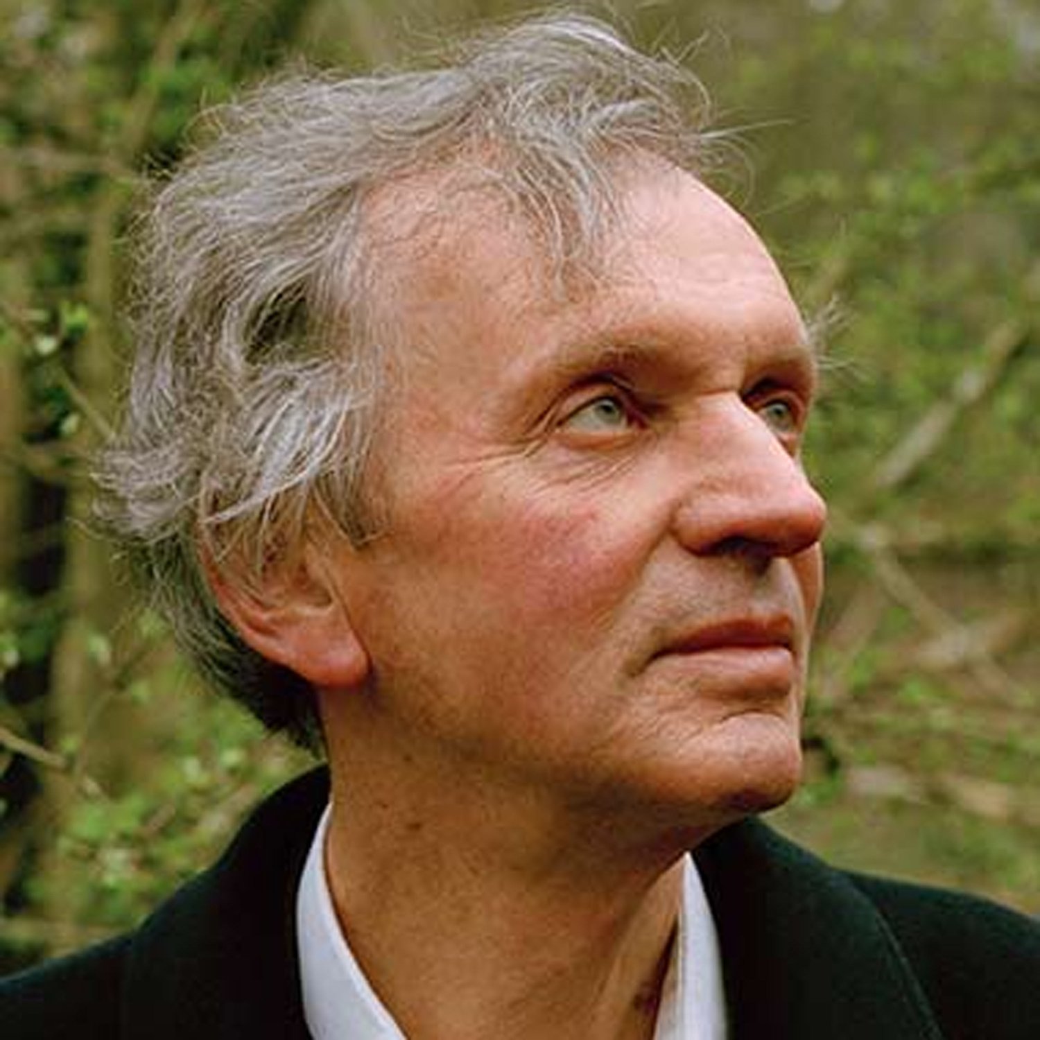 How do we navigate ambiguity, uncertainty & move beyond linear thinking? - RUPERT SHELDRAKE - Highlights
