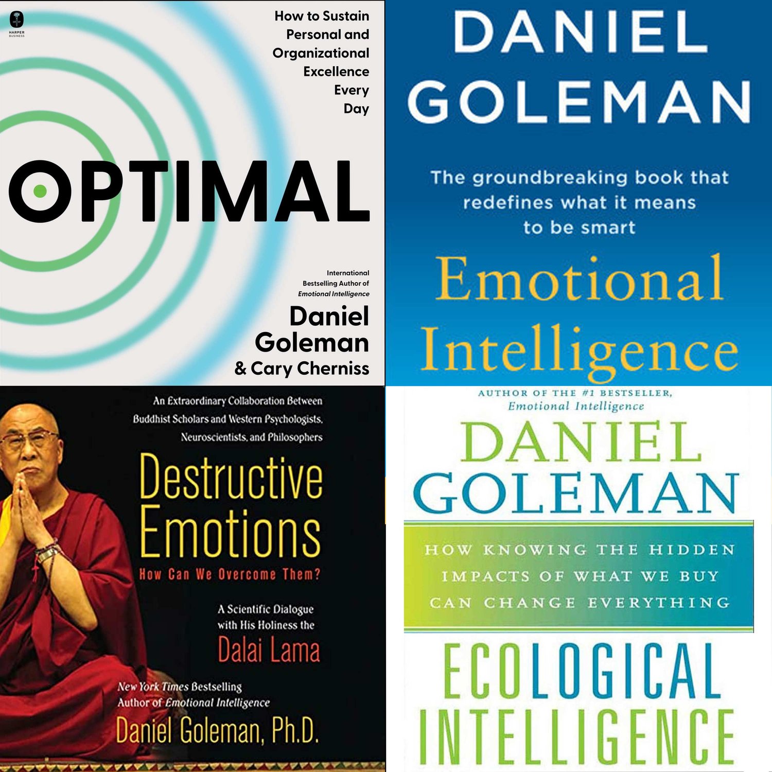 How to achieve Optimal Well-Being with Emotional Intelligence - Highlights - DANIEL GOLEMAN