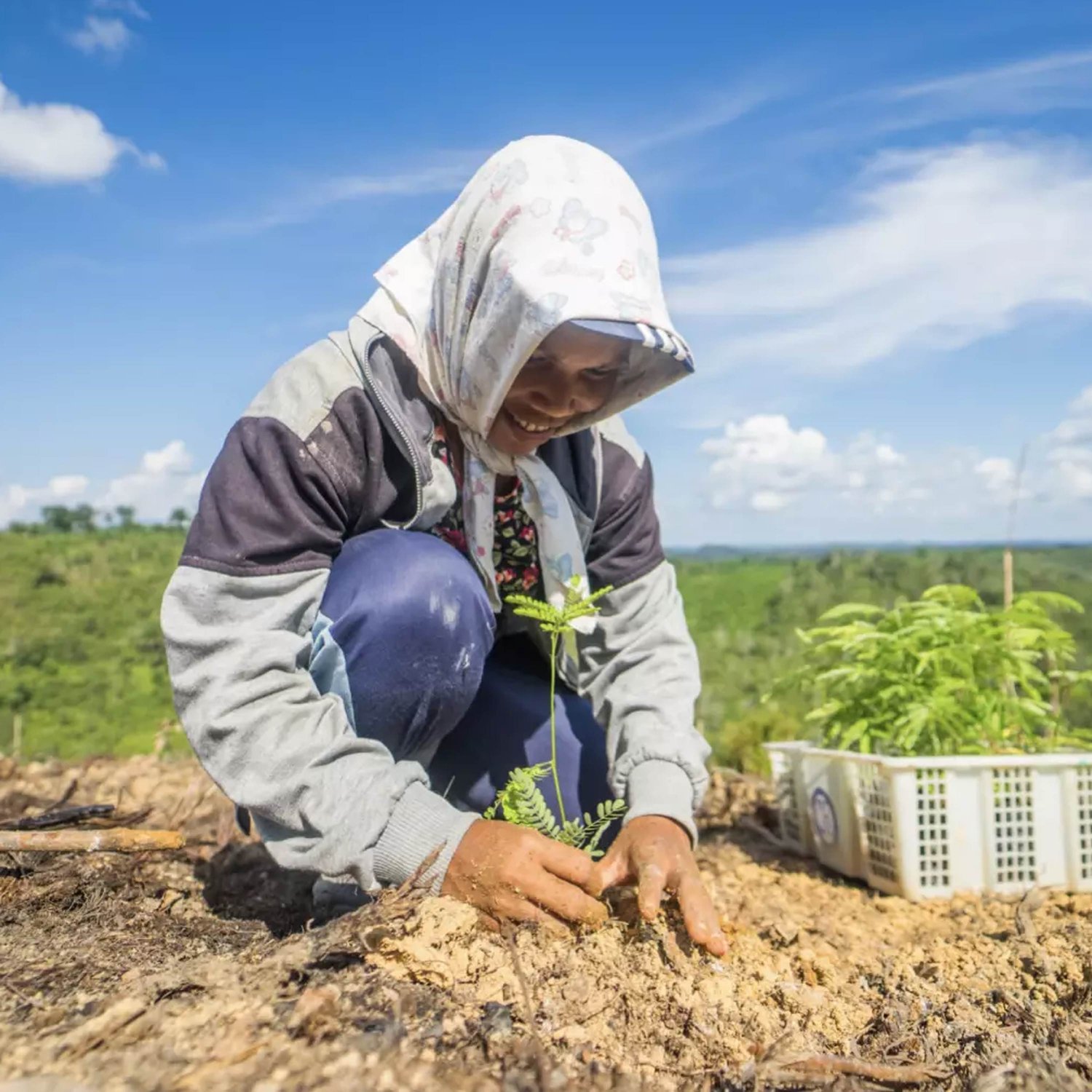 How can we reverse biodiversity loss and restore our ecosystems? - Highlights - THOMAS  CROWTHER