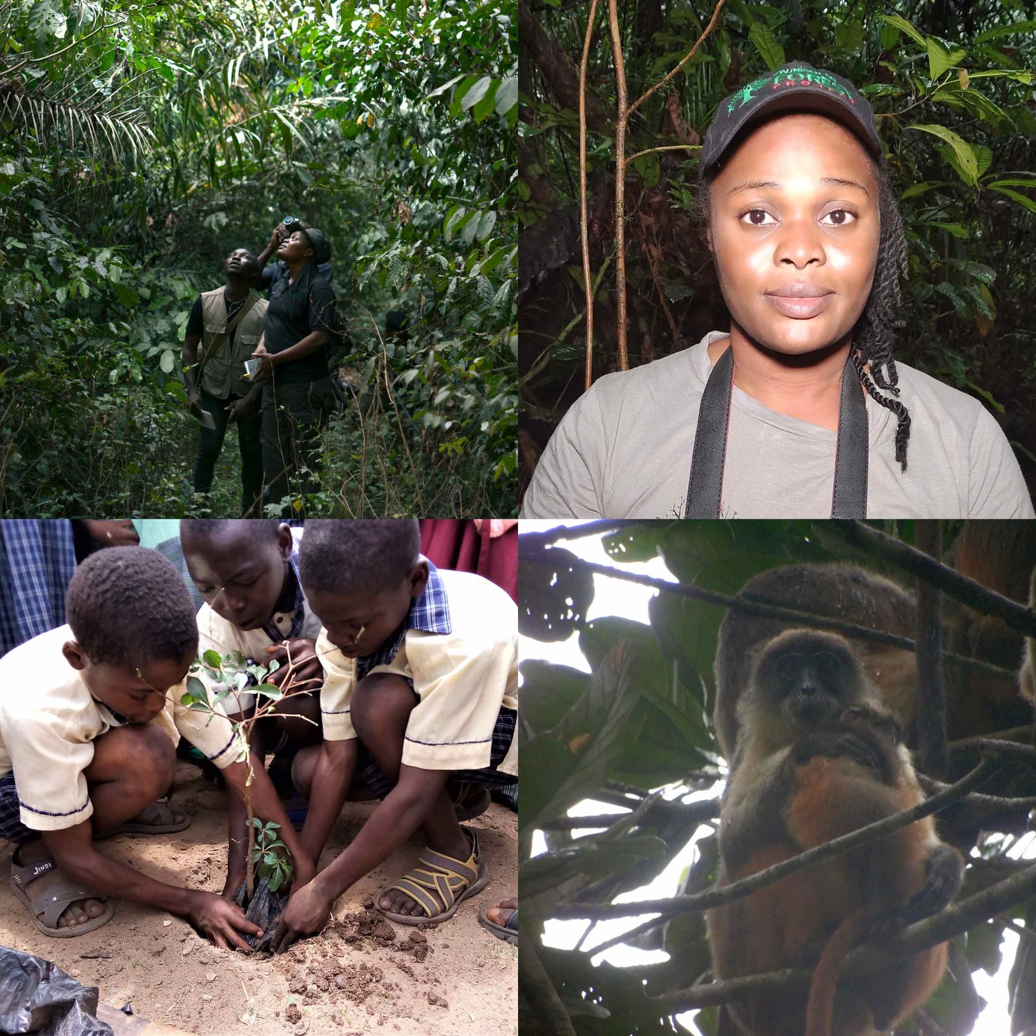 How to Bring a Species Back from the Brink of Extinction w/ RACHEL ASHEGBOFEH IKEMEH - Highlights