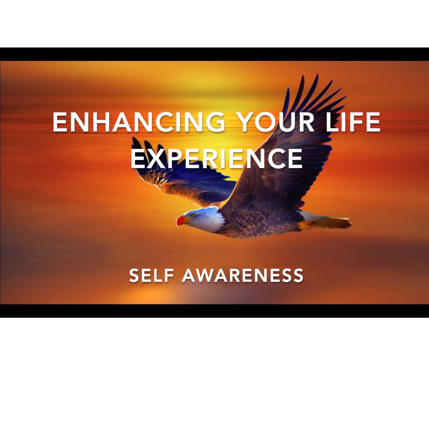 Enhancing your Life Experience Enhancing your Life Experience