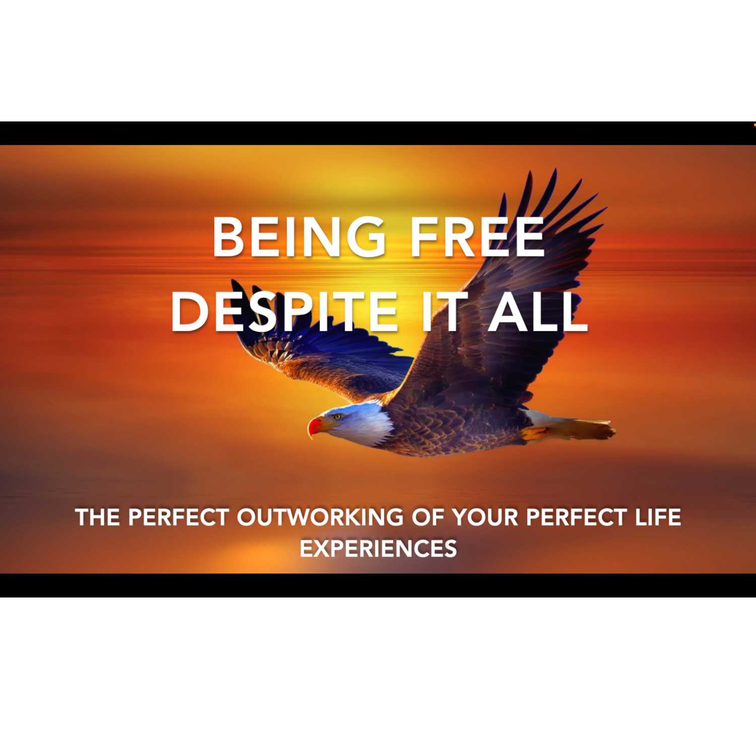 Being Free despite it all! 😄 🎉 Being Free despite it all! 😄 🎉